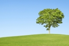 mk_a14_画像(左)+文章代替テキスト